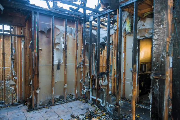 Professional Fire Damage Removal technician working in Palos Heights, IL